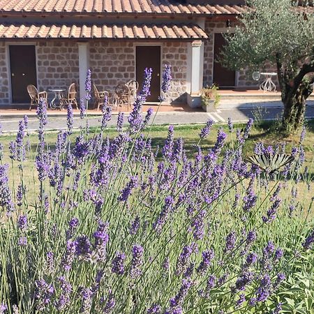 Grotta Biscia Villa Genazzano ภายนอก รูปภาพ